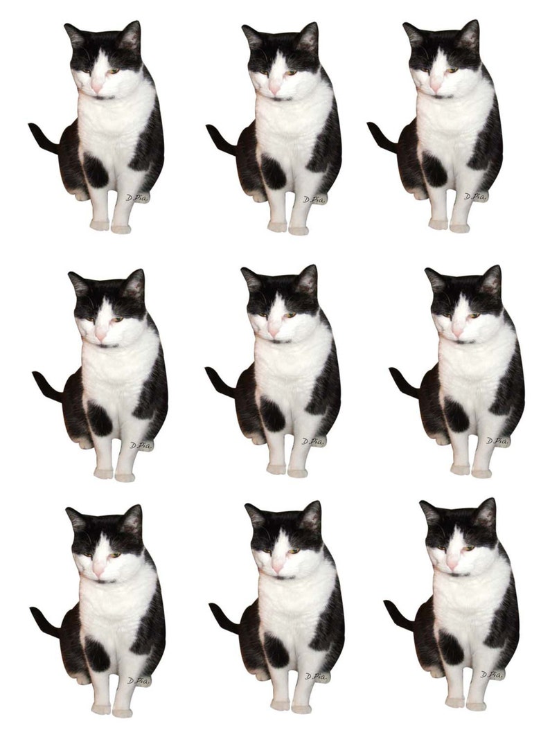 original artwork Annoyed cat Instant Download Black and White Cat ornaments or gift tagsset of 9 D.Pia Make them Custom