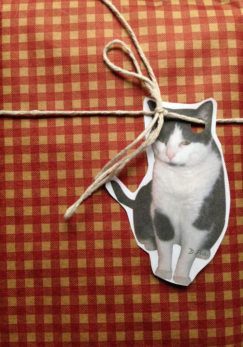 original artwork Annoyed cat Instant Download Black and White Cat ornaments or gift tagsset of 9 D.Pia Make them Custom