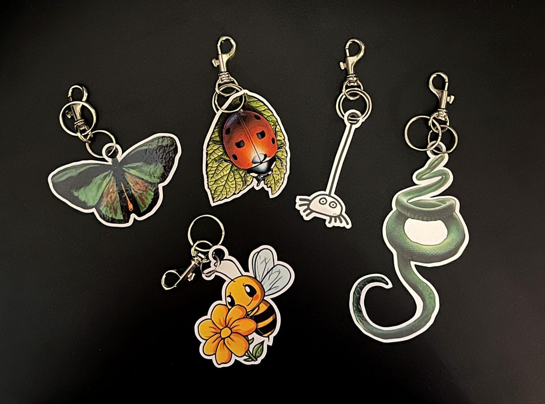 Laminated Ladybug, Bee, Snake, Butterfly, Spider Keychain: Purse ...