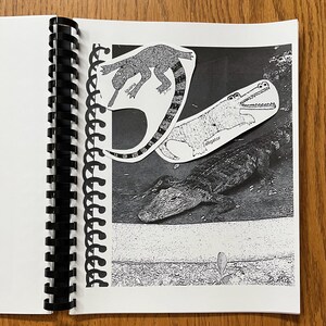 May include: Black and white illustration of an iguana and an alligator. The iguana is labeled "iguana" and the alligator is labeled "alligator". The illustration is on a page in a spiral bound notebook.