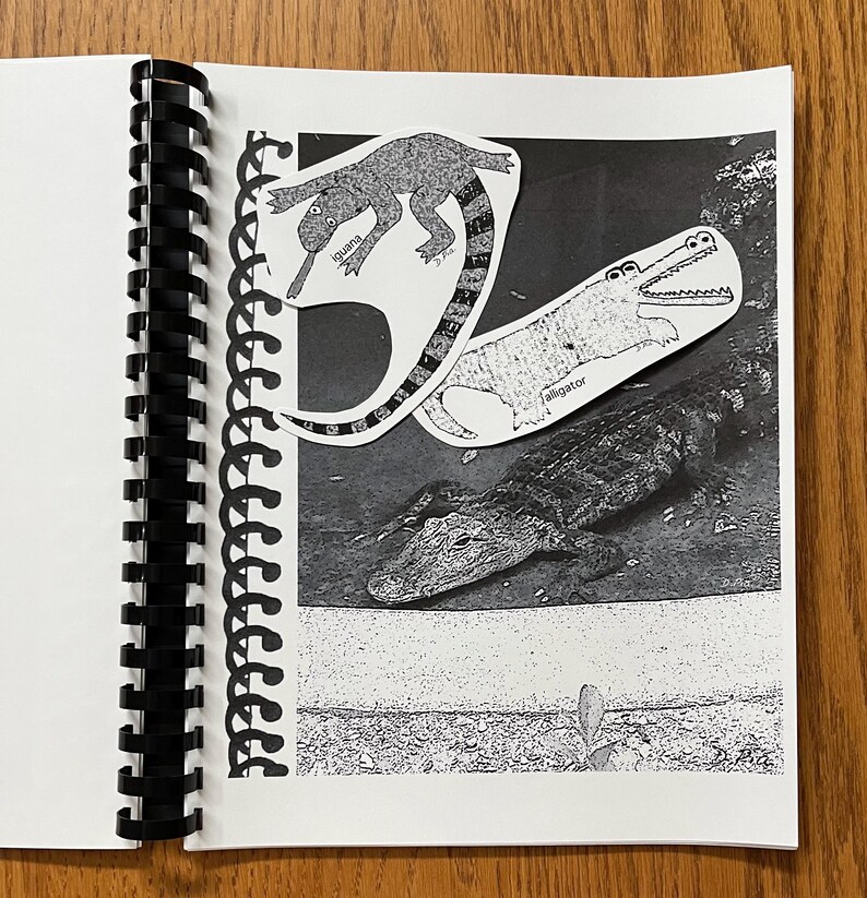 May include: Black and white illustration of an iguana and an alligator. The iguana is labeled "iguana" and the alligator is labeled "alligator". The illustration is on a page in a spiral bound notebook.
