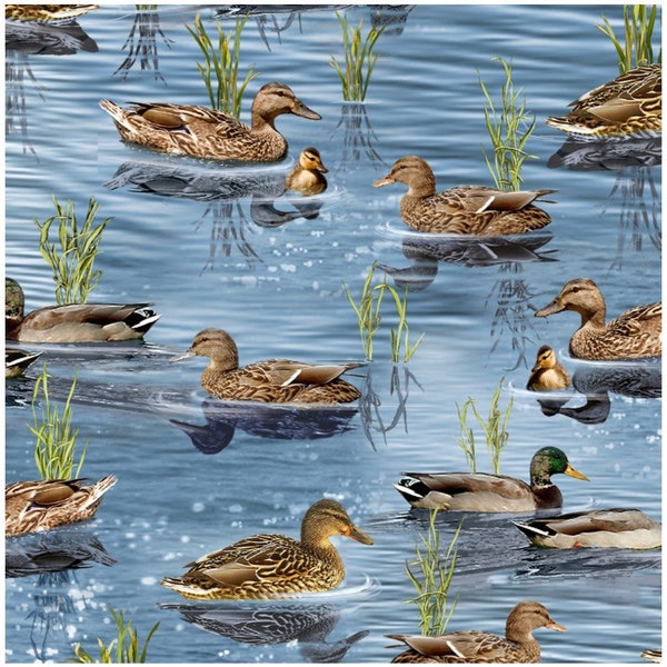 Pond Ducks Gone Fishing Fabric By Timeless Treasures Fabric 44 INCHES End Of Bolt Fabric