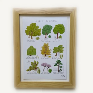 Mapa grande A5 "Árboles parisinos" - tinta y acuarela - póster decorativo