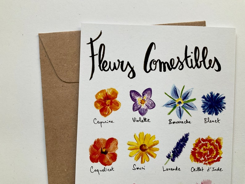 A6 postcard - edible flowers - watercolor illustration + kraft envelope image 1