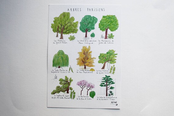 Grosse A5 Karte Pariser Baume Tinte Und Aquarell Etsy