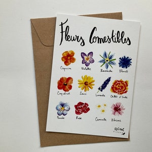 A6 postcard - edible flowers - watercolor illustration + kraft envelope image 2