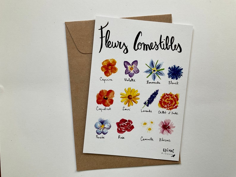 A6 postcard - edible flowers - watercolor illustration + kraft envelope image 2