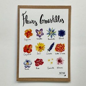 A6 postcard - edible flowers - watercolor illustration + kraft envelope image 3