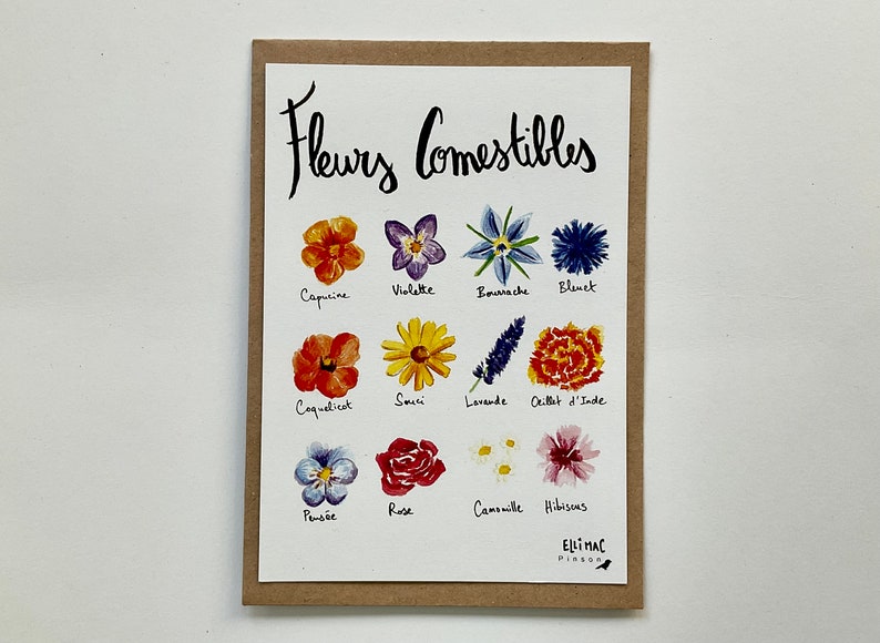A6 postcard - edible flowers - watercolor illustration + kraft envelope image 3