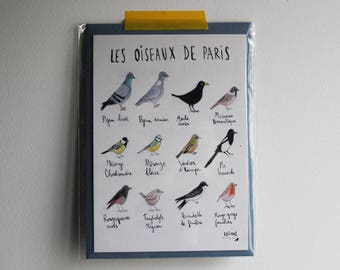Carte illustrée - Les oiseaux de Paris - encre et aquarelle + enveloppe kraft