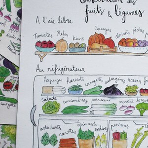 Le pack écolo Calendrier A5 des fruits et légumes de saison Carte Compost Carte Conservation Carte recettes Zéro déchet image 5