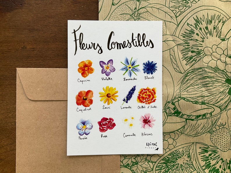A6 postcard - edible flowers - watercolor illustration + kraft envelope image 5