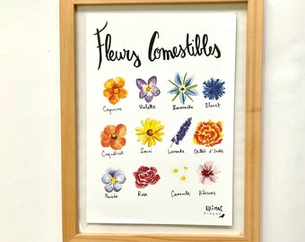 Grande carte A5 / affichette - Fleurs comestibles - illustration