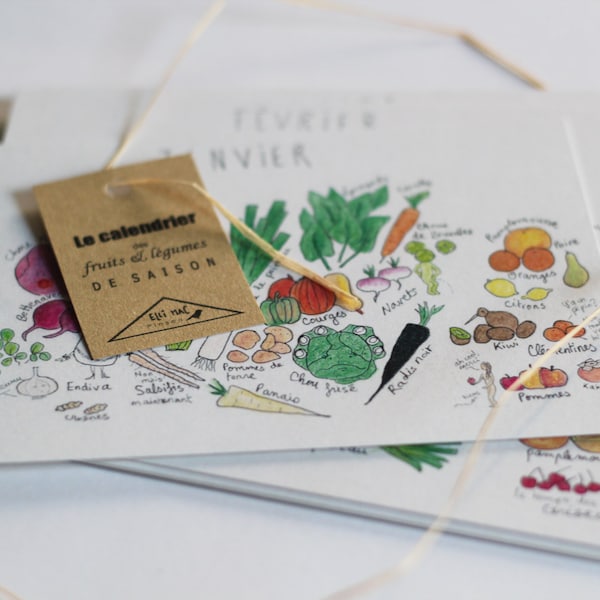 Le calendrier illustré des fruits et légumes de saison - lot de 12 cartes postales dessinées à la main - calendrier perpétuel