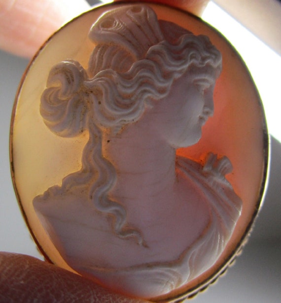 Conch Shell Cameo, 14K, c1910