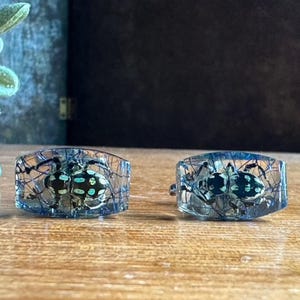 May include: Two resin rings with a beetle design. The beetles have black and green markings and are encased in clear resin. The rings are set on a wooden surface.