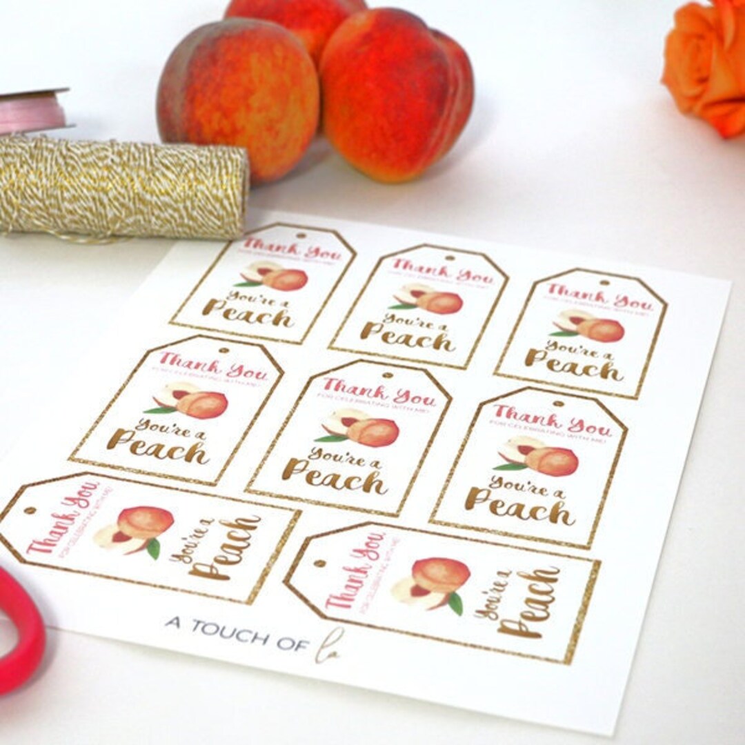 PRINTABLE Peach Party Favor Tags, Peach Birthday Favor Tags, Peaches ...
