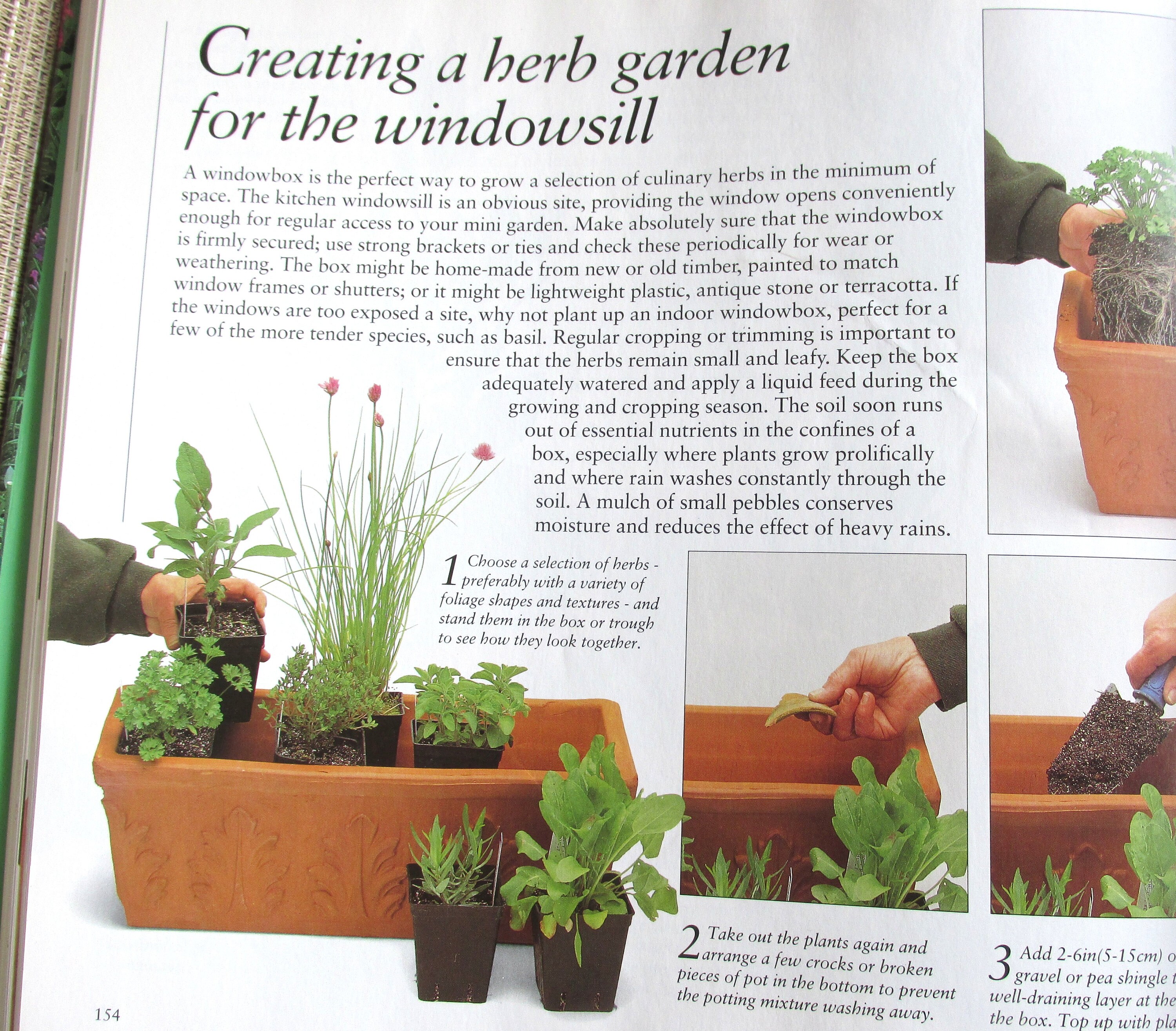 Book How to Create a Kitchen Garden | Etsy