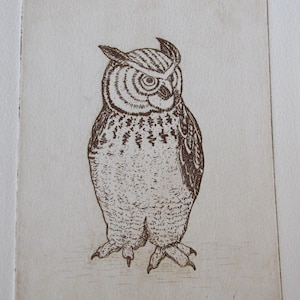 Etching of Owl in Brown  - Vintage