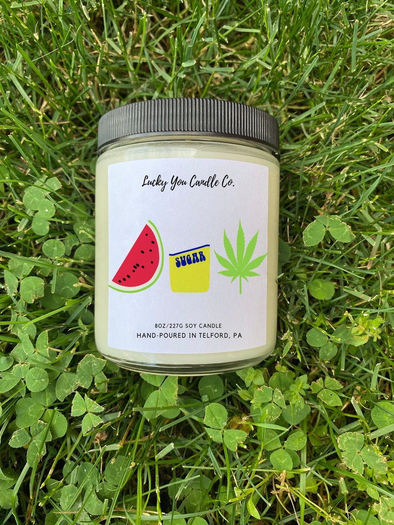 Watermelon Sugar High Soy Candle HumorGag Gift