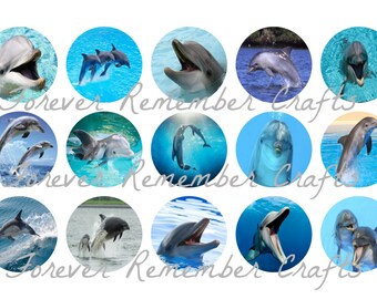 INSTANT DOWNLOAD Dolphins 1 Inch Bottle Cap Image Sheets *Digital Image* 4x6 Sheet With 15 Images