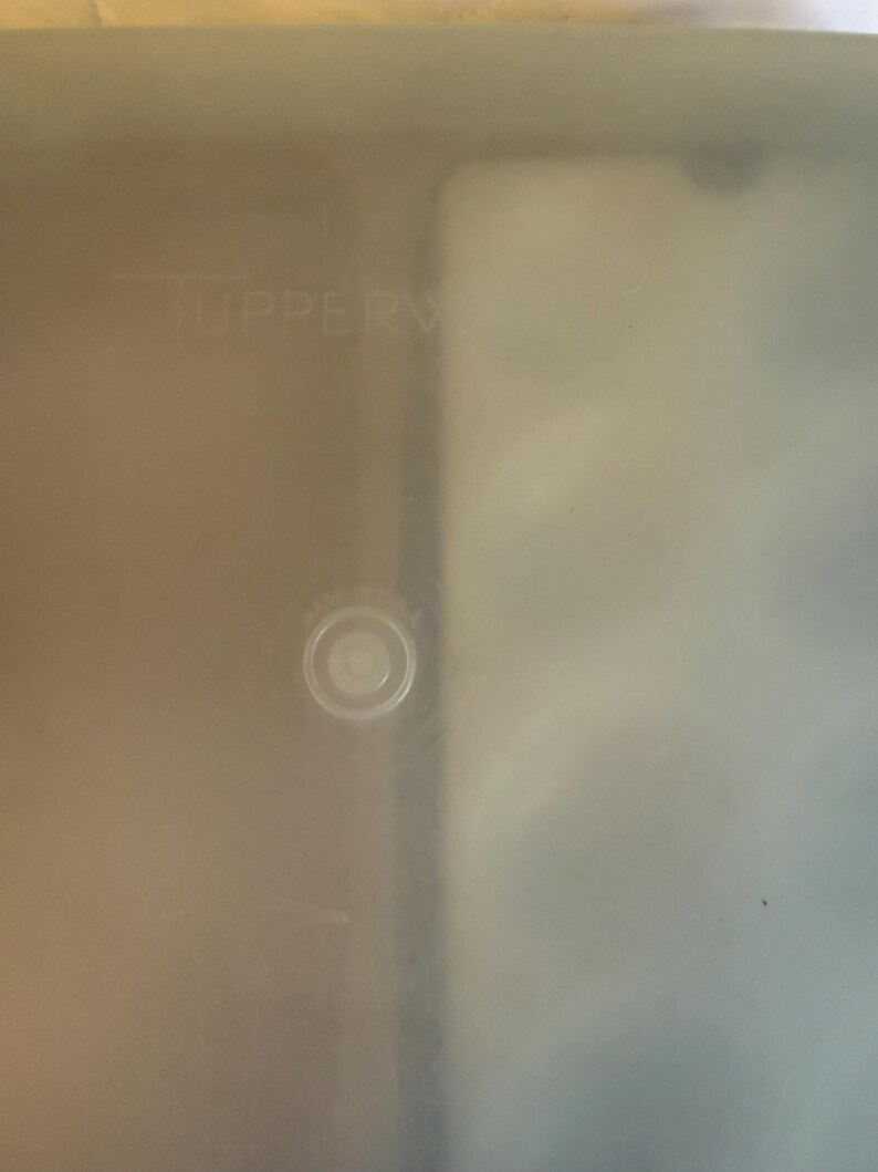 May include: A translucent, rectangular Tupperware container with the brand name subtly embossed on the surface. The container has a small, circular indentation on the top, likely for a lid. The overall appearance is simple and functional.