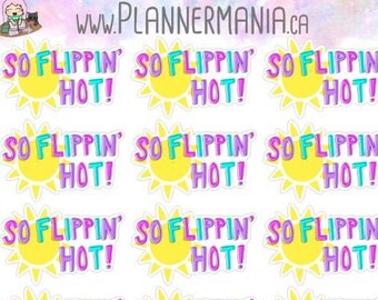 So Flippin' Hot Planner Stickers
