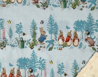Peter Rabbit Blanket / Custom Sizes and Colors