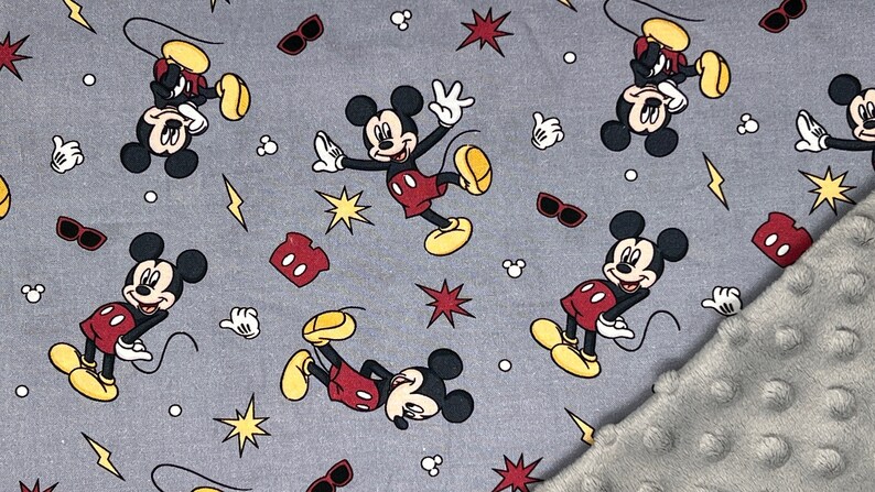 Pu&ograve; includere: Tessuto grigio con un motivo ripetitivo di Topolino in varie pose. Il tessuto ha accenti rossi, gialli e bianchi. Il tessuto &egrave; abbinato a un tessuto minky grigio.