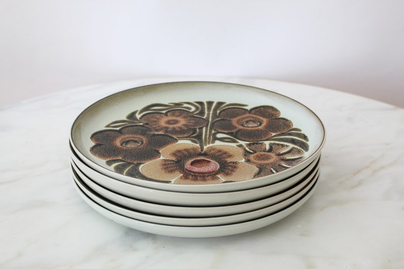 70s floral stoneware dinner plates set of 5 made in England Denby Westbury