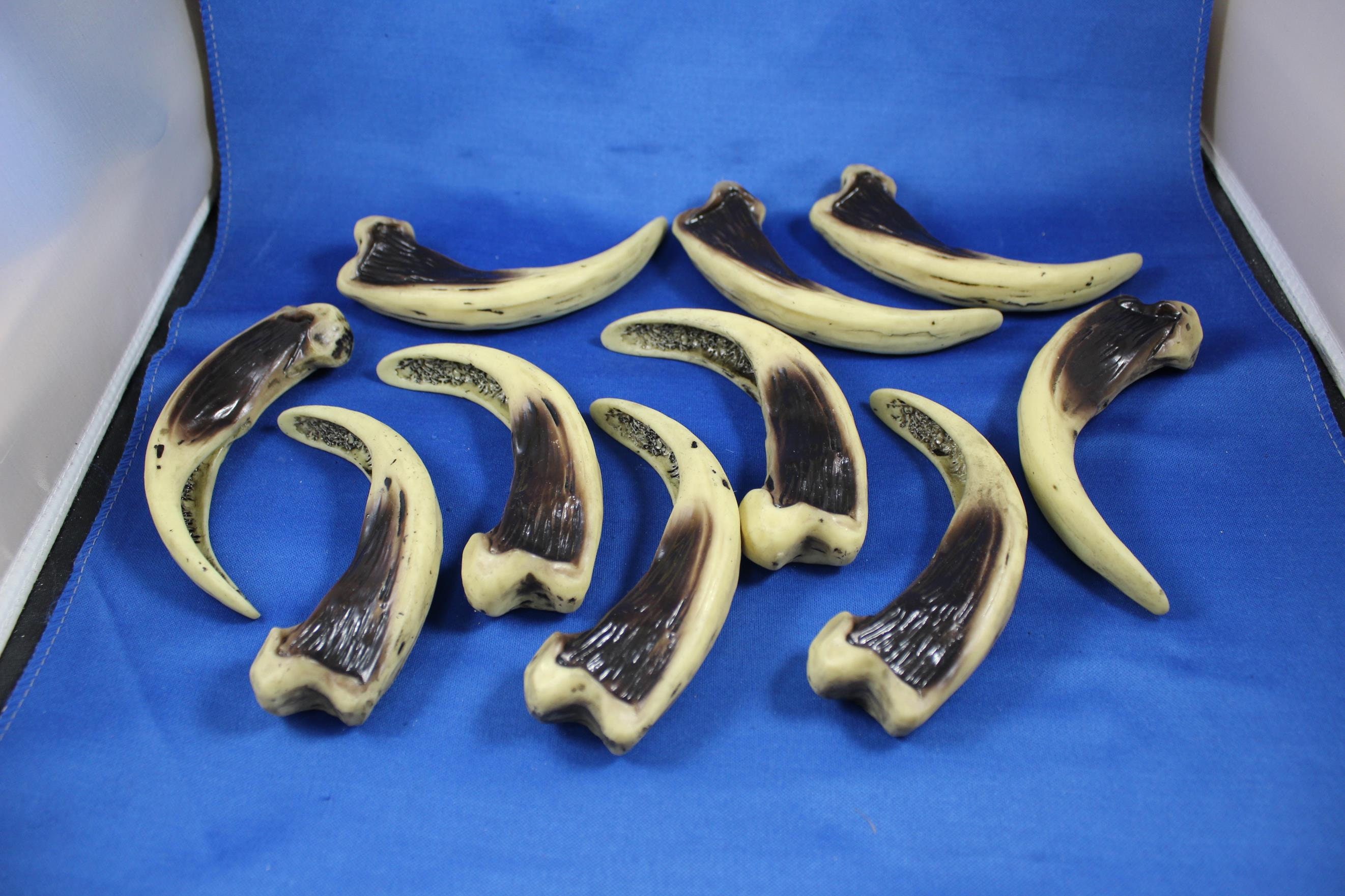 Qty of 10 Resin Kodiak Bear Claws CL5 4 3/4 Replica | Etsy