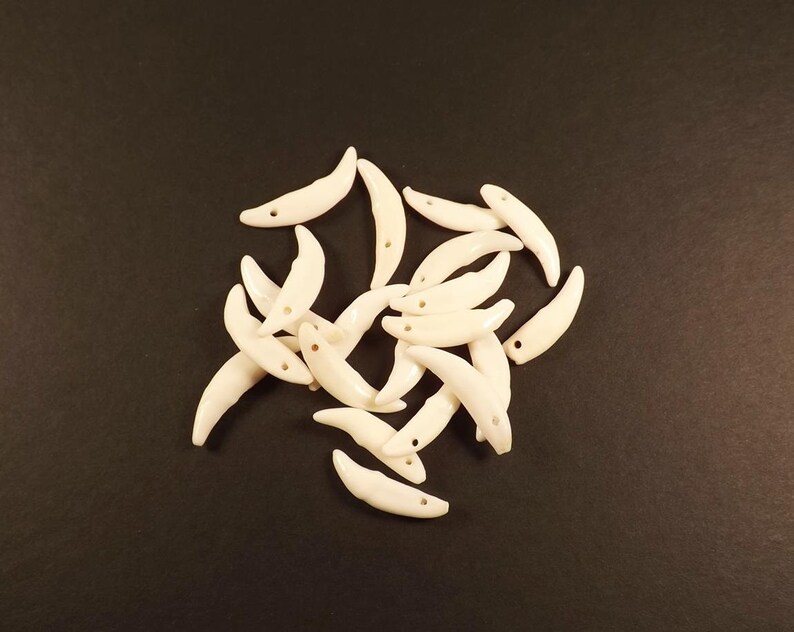 Canine Teeth, 10 Genuine Teeth, Drilled, White, Crafts Supplies, Mountain Man, Rendezvous, Pow Wows, Coyote teeth, also called Brush Wolf