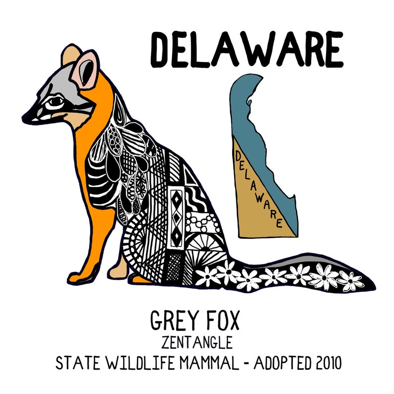 Ceramic Coaster, Delaware, State Symbols, Grey Fox, Zentangle. Ceramic tile, coaster, Decorative Art, Home, Gifts, 3 Variations With State Map
