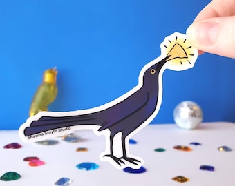 Grackle Vinyl Sticker - funny grackle with food sticker, bird sticker, bird gift, modern bird sticker, austin bird sticker, cool bird art