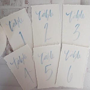 Hand-Painted Watercolor Table Numbers: Deckled Edge Paper