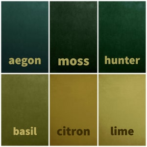 Kasmir Green Velvet Fabric by the Yard for Home Décor and Upholstery