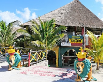Reggae Beach Bar - Cozumel