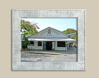 Pappagallo verde - Key West
