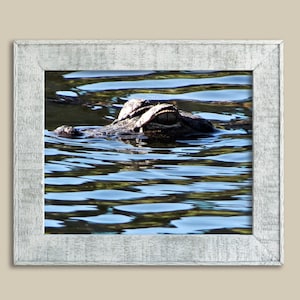 Gator - Blue Ripple