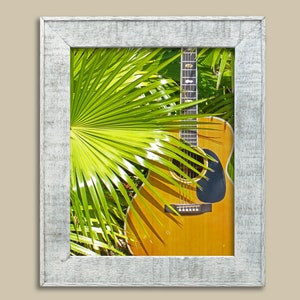 Guitar in Palms