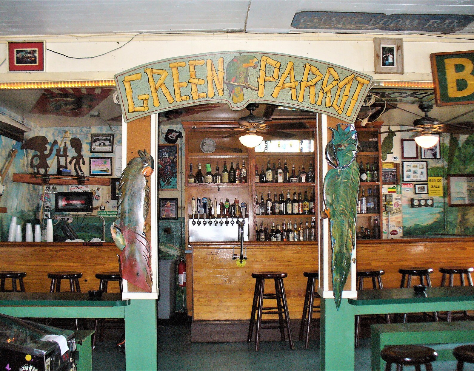 Green Parrot / Side Bar Key West Etsy
