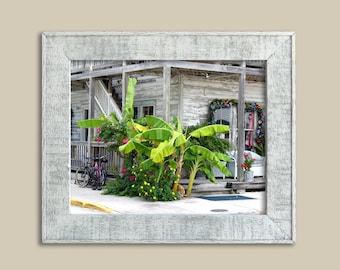 Banani da marciapiede - Key West