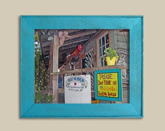 Gallo del Paradiso Blu - Key West