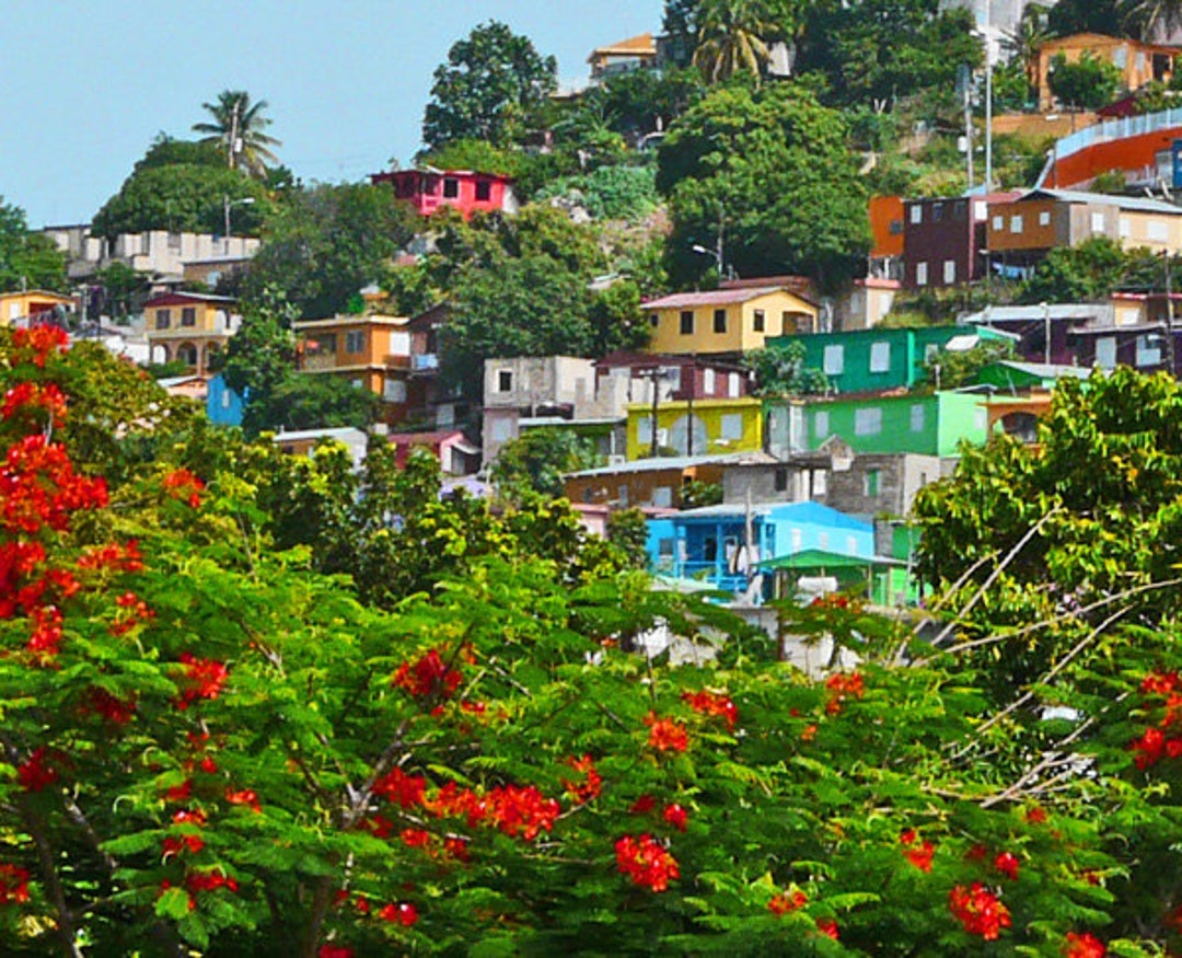 Yauco Hillside Puerto Rico Etsy