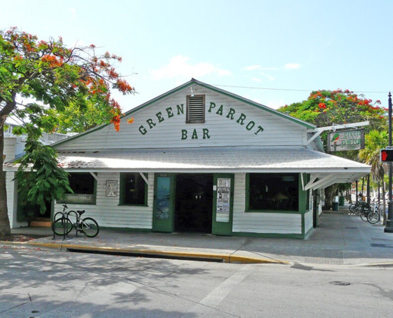 Green Parrot Key West Etsy