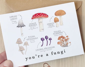 You're a fungi / fun(gi) facts - cute mushroom pun fathers day boyfriend, male birthday card - mycology gift,  scientific fungus facts