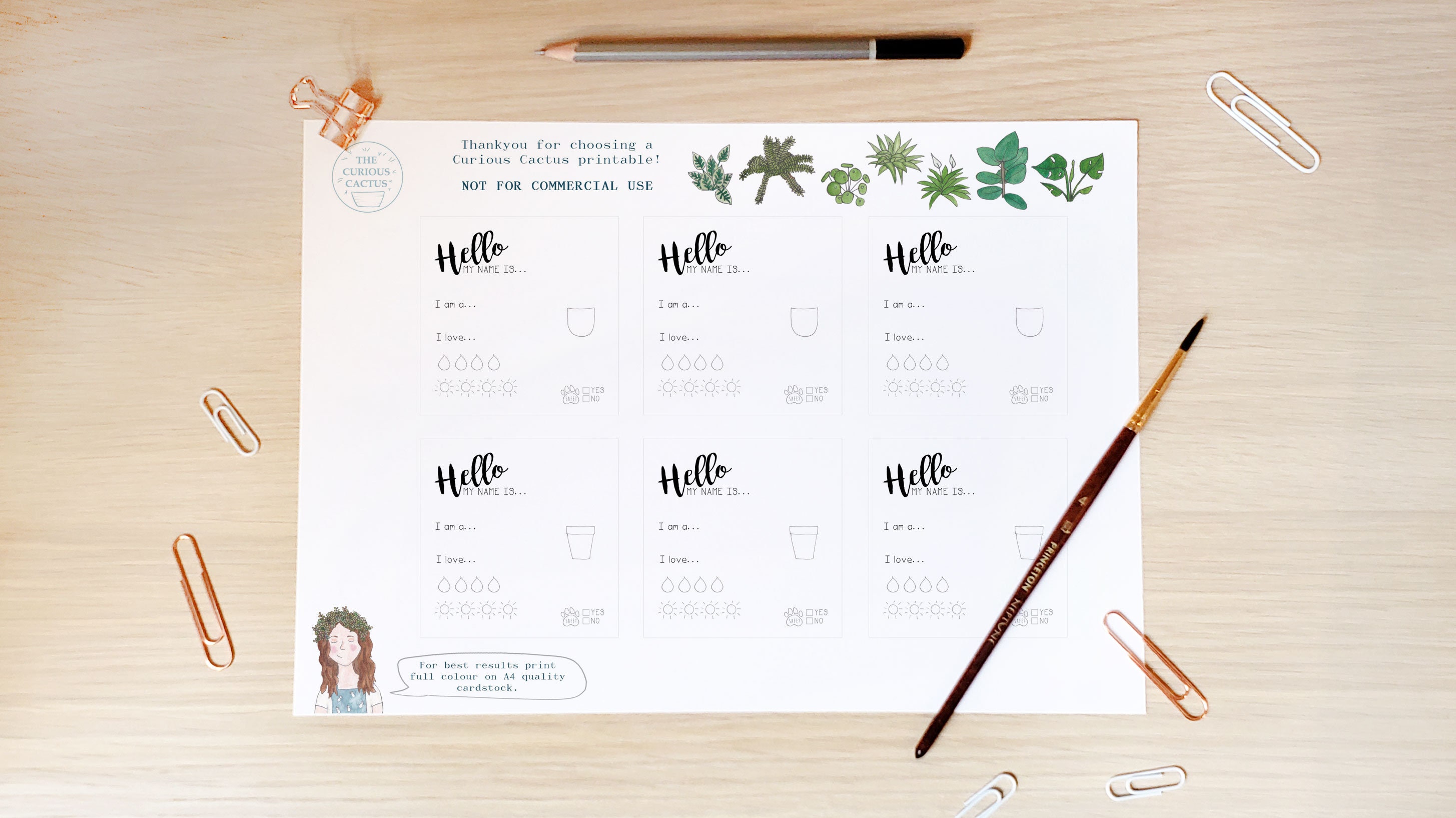 Plant Care Tags DIGITAL DOWNLOAD Print Yourself at Home Etsy UK