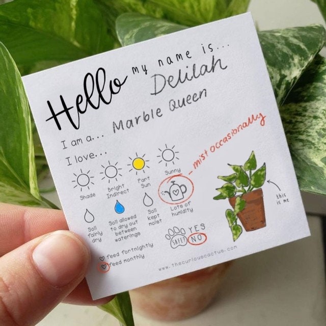 Plant Care Tags DIGITAL DOWNLOAD Print Yourself at Home Etsy