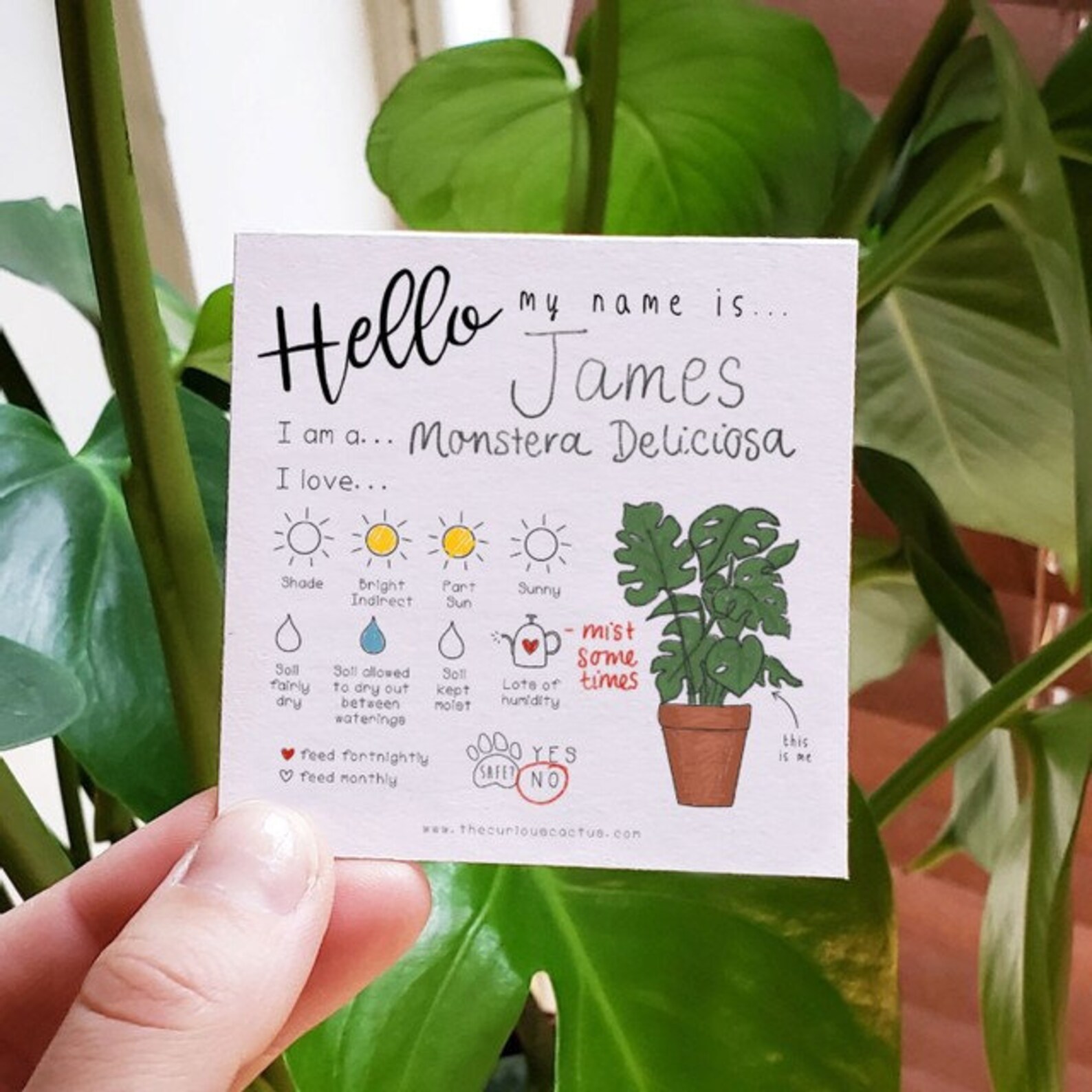 Plant Care Tags DIGITAL DOWNLOAD Print Yourself at Home Etsy