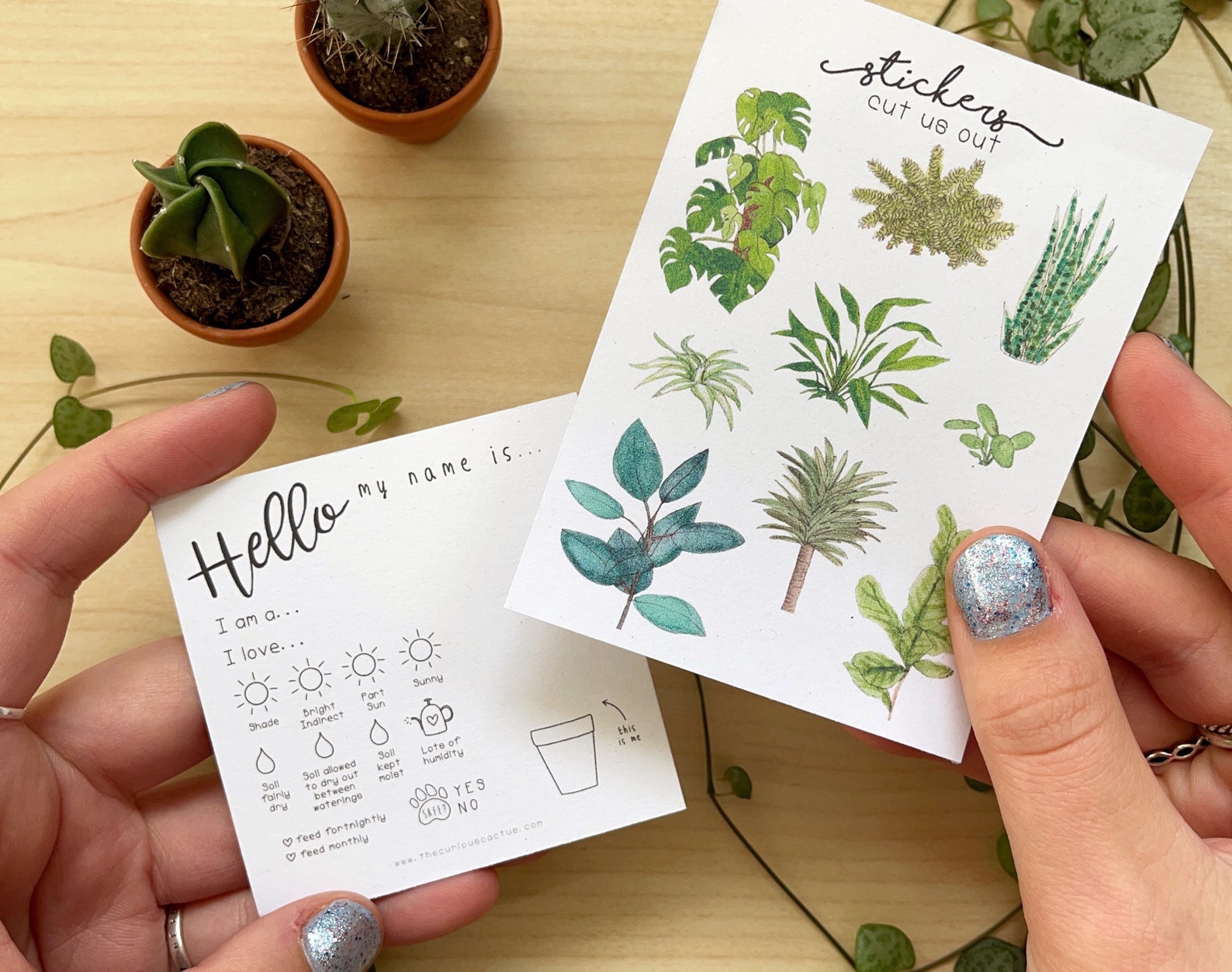 Plant Care Tags PHYSICAL Set of 12 Plus Stickers Plant Care Etsy